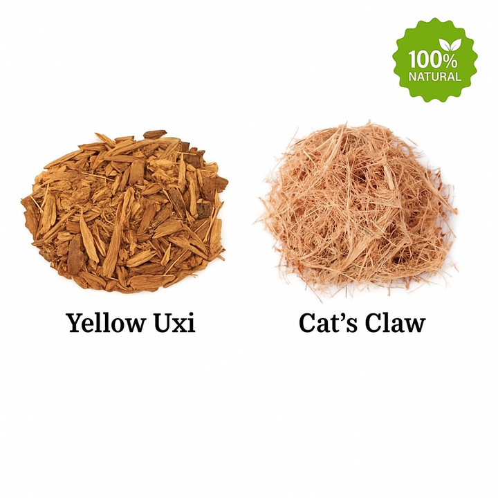 Amazonian Herbal Tea – Uxi Amarelo & Cat’s Claw