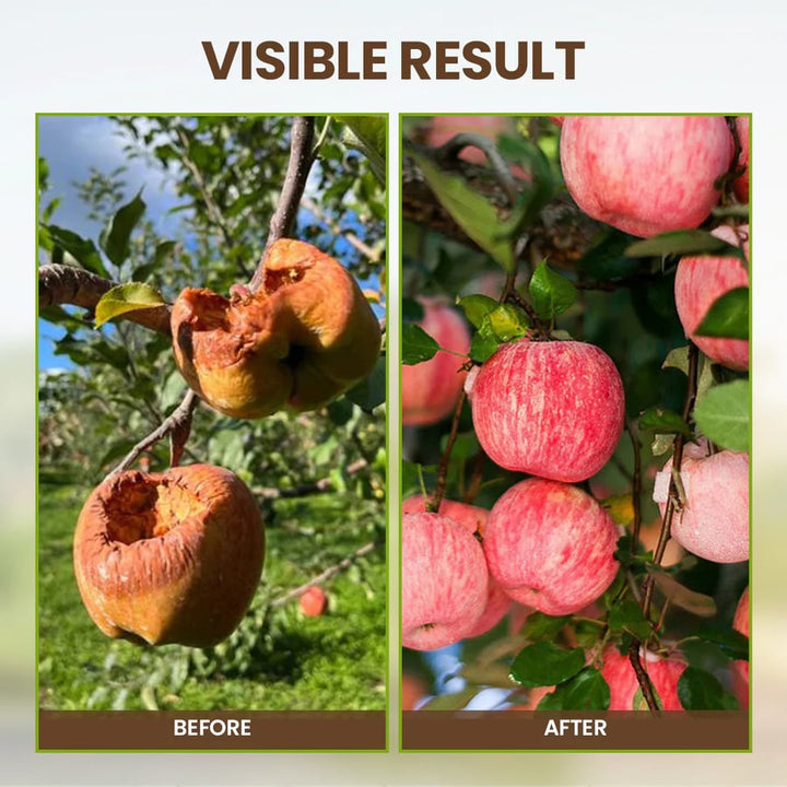π₯-Soil Pro Activator