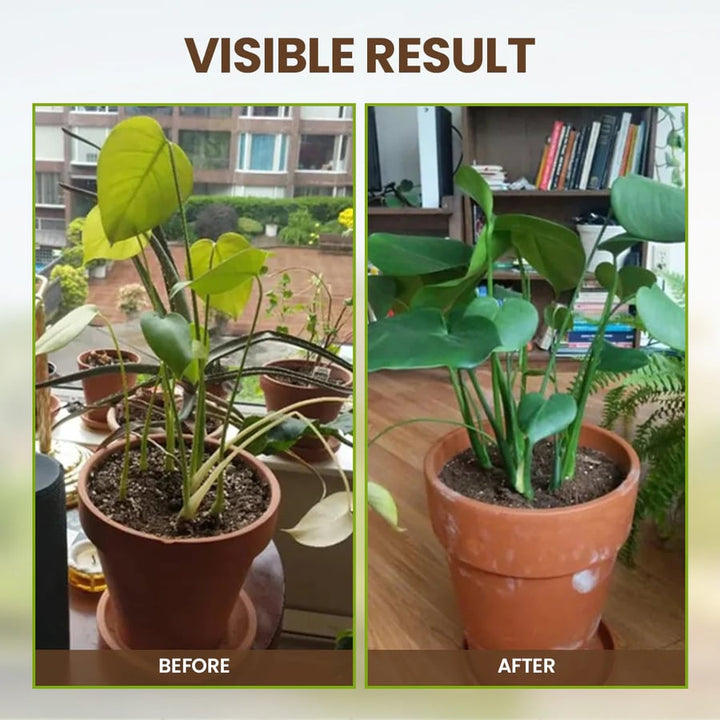 π₯-Soil Pro Activator