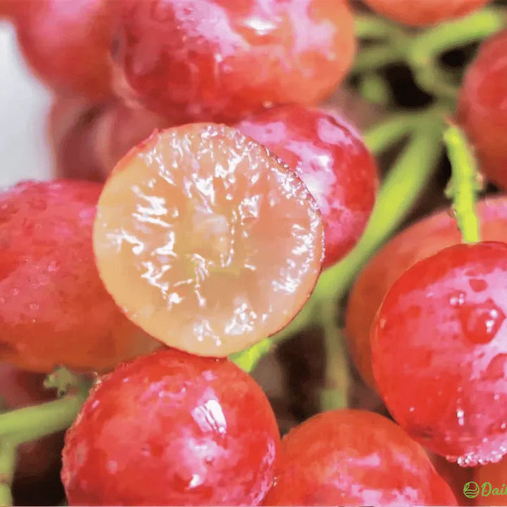Semillas de Uva Gigante: Uvas Grandes, Sin Semillas y de Piel Delgada 🍇🌿