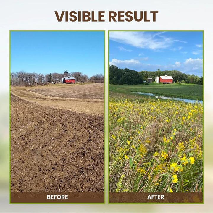 🔥-Soil Pro Activator