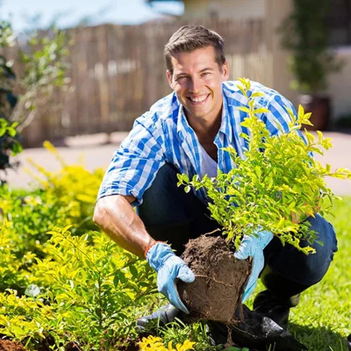 🔥-Soil Pro Activator