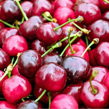 Dwarf North Star Cherry Tree – Tart, Compact Cherry Tree for Small Gardens 🍒🌳