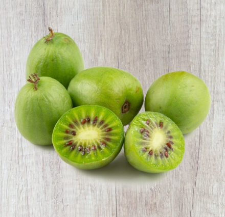 Issai Kiwi Plant – Sweet, Cold-Hardy Kiwis for Your Garden 🍇🌿