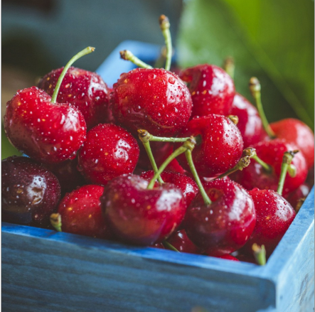 Dwarf North Star Cherry Tree – Tart, Compact Cherry Tree for Small Gardens 🍒🌳